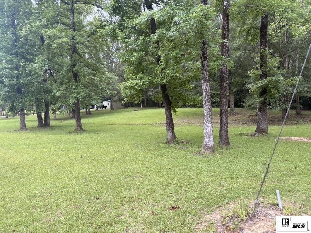 Picture 10