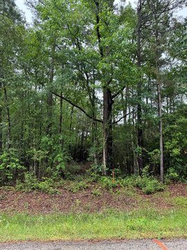 Land Near the Lake