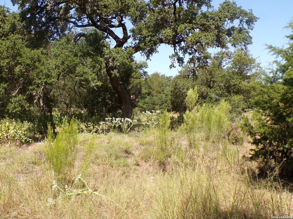 Picture 10
