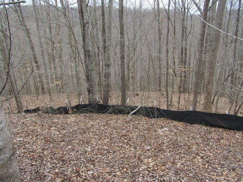 Secluded Wooded Acreage in Wilder, TN