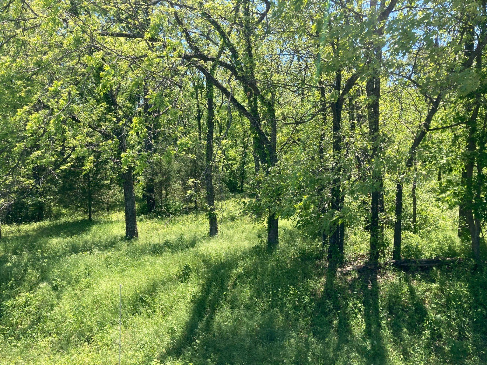 Missouri Vacant Land Opportunity