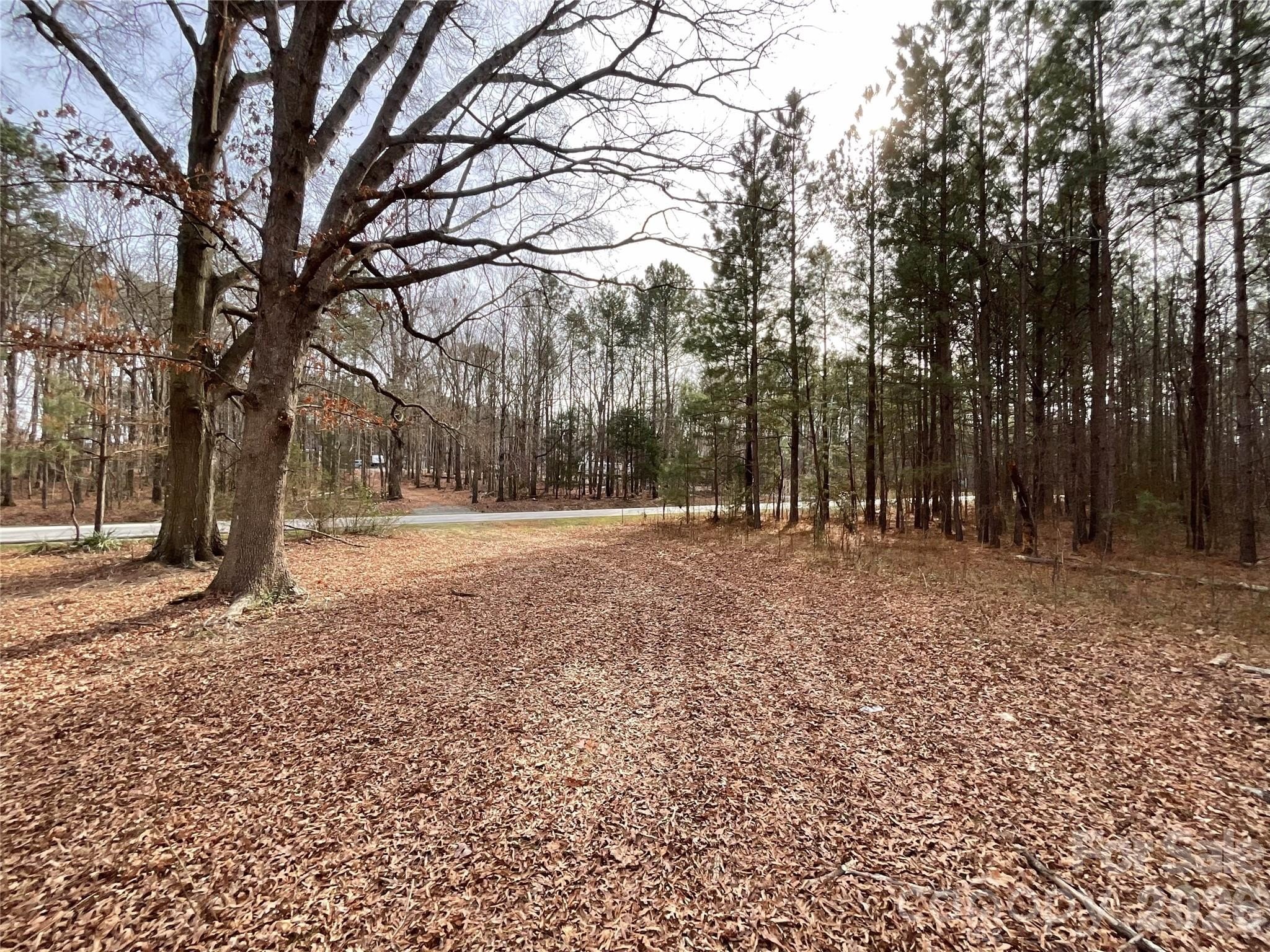 Wooded Lot in Pastoral Setting