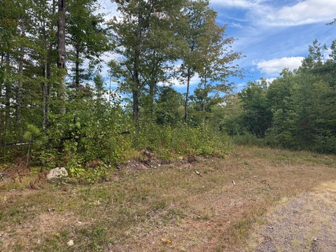 Land, Minocqua, WI
