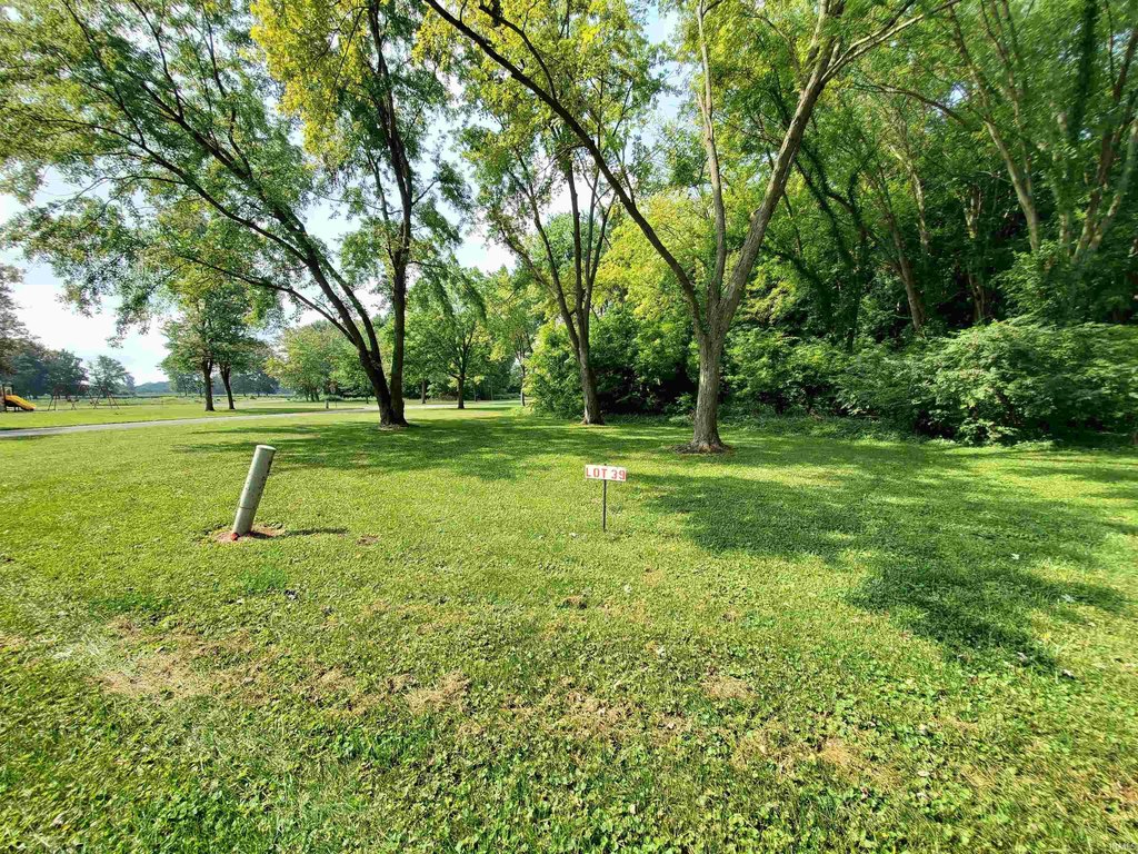 Picture 23