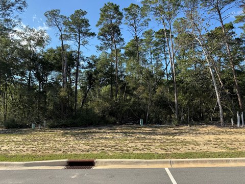 Residential Land in Deer Moss Creek