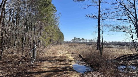 580 Acres Hunting Land, White Hall