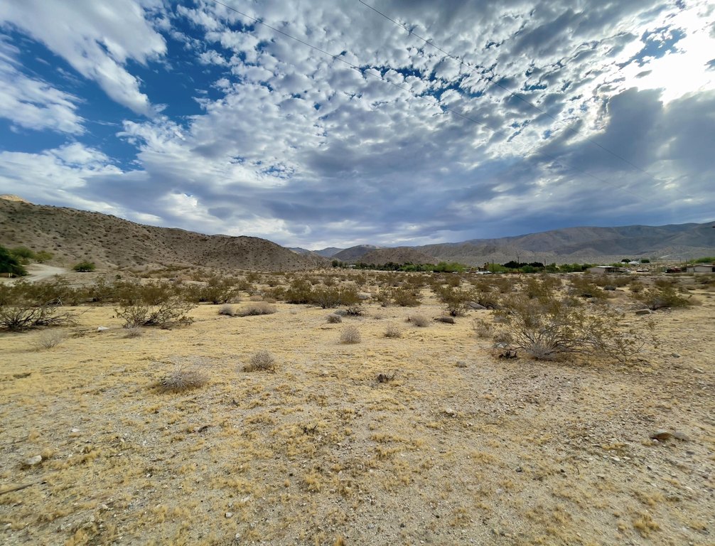 Picture 4