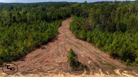 Recreational Timberland Tract