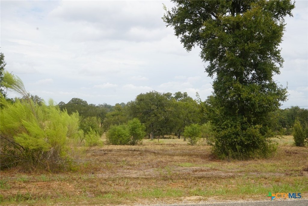 Picture 8