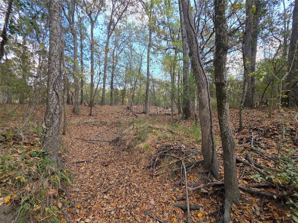 Picture 4
