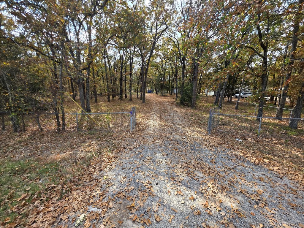 Picture 35