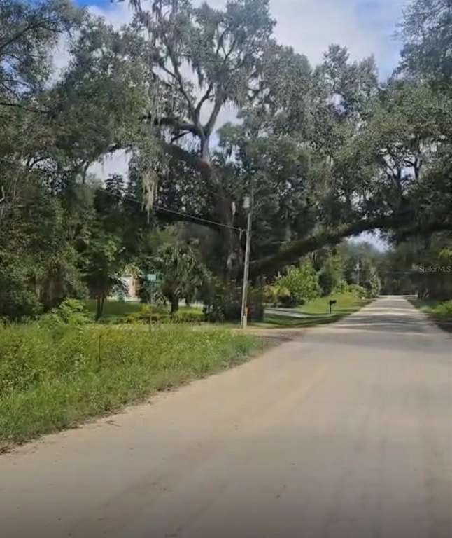 Picture 2