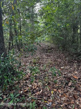 Land, Vancleave, MS