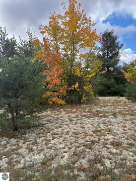 Vacant Lot/Land, Gaylord, MI