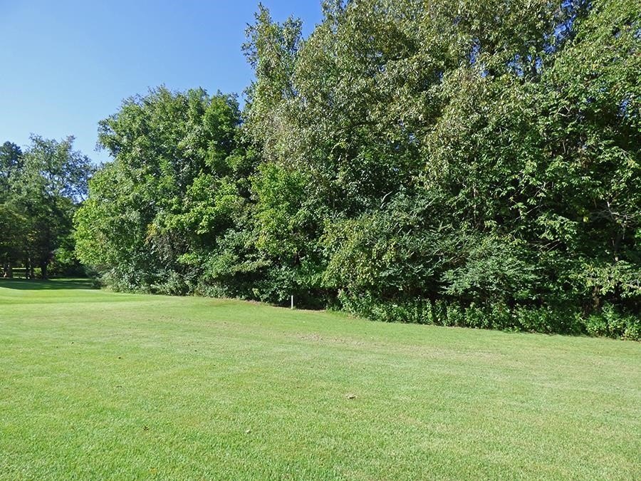 Picture 7
