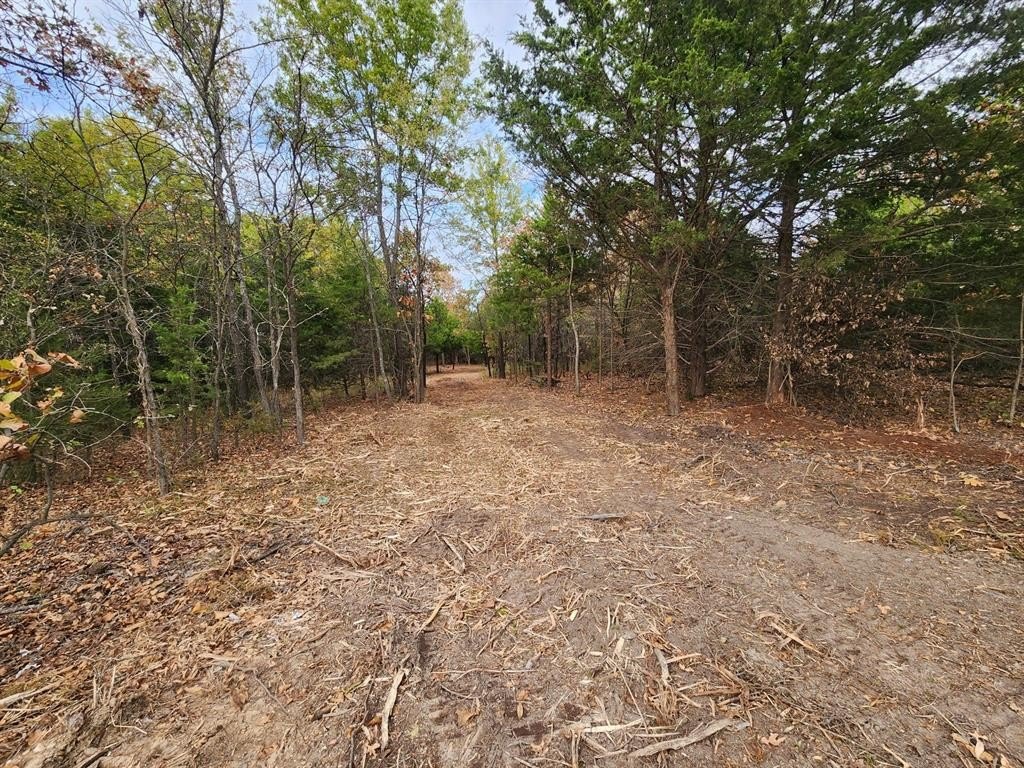 Picture 8