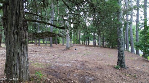 Land, Laurinburg, NC