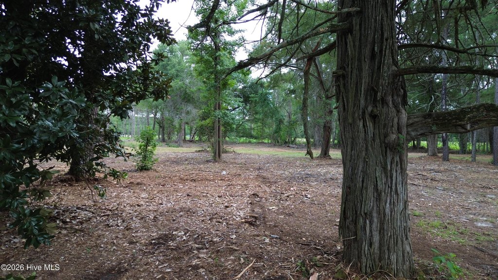 Picture 3