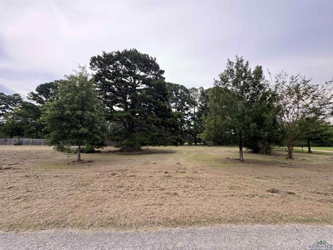 Oversized Lot Ready to Build