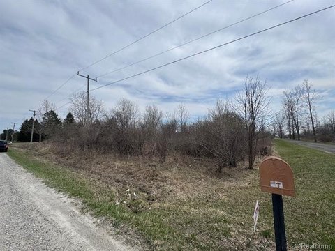 Buildable Lot in Clyde Township