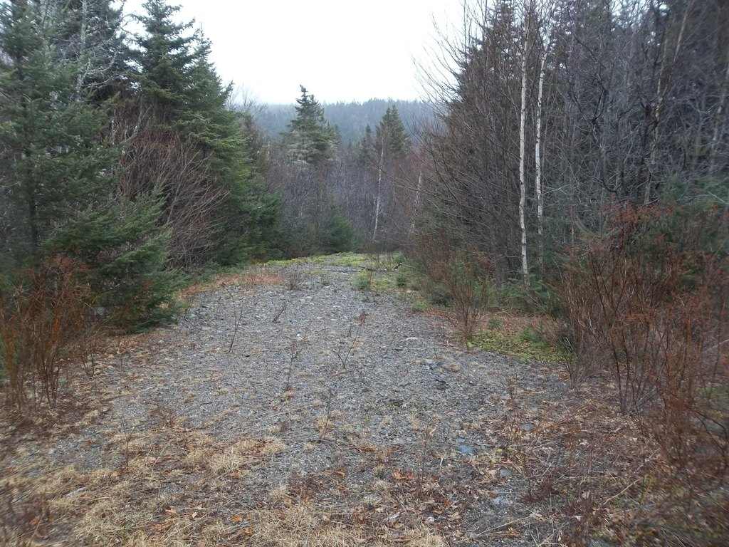 Picture 4