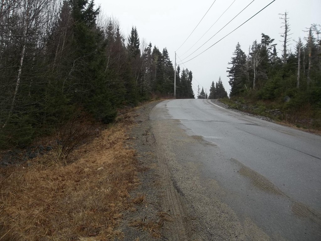 Picture 6