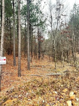 LAND - Broken Bow, OK