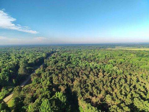 Recreational Land in Byhalia, MS