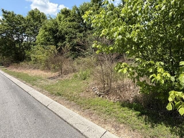 Picture 14
