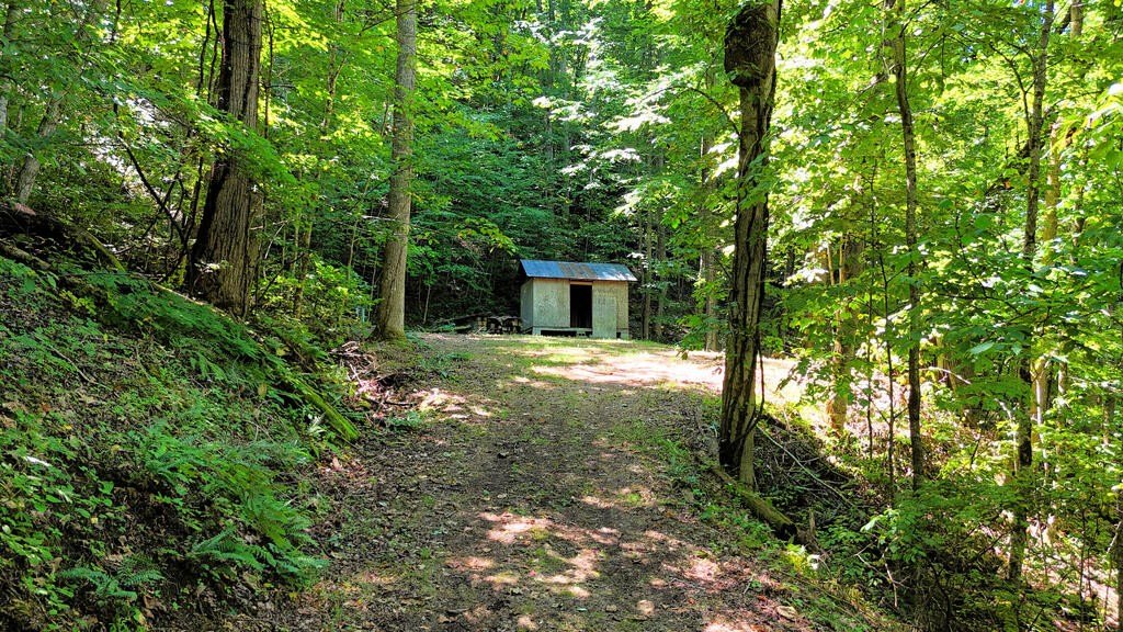 Picture 22