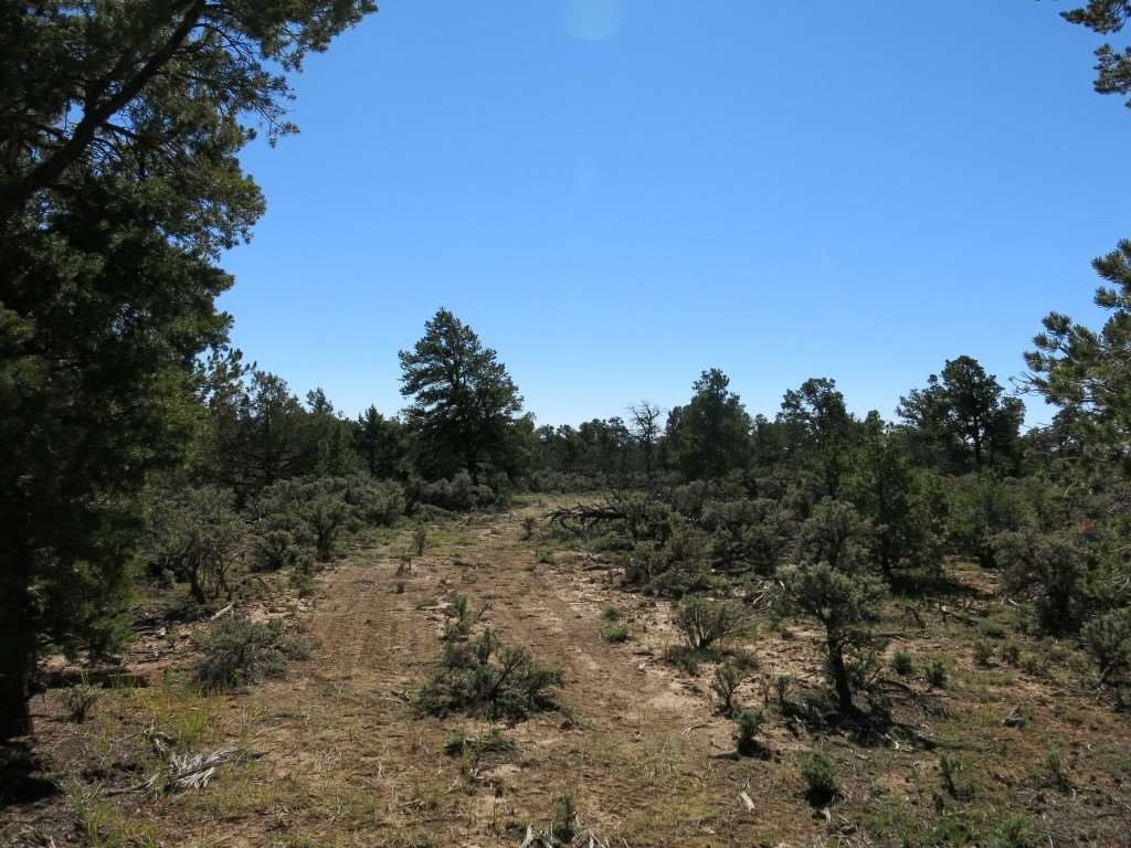 Land in Tres Piedras, NM