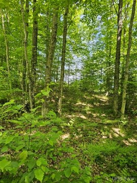 VACANT LAND, Iron Mountain, MI
