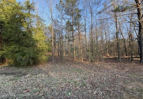 Land, Senatobia, MS