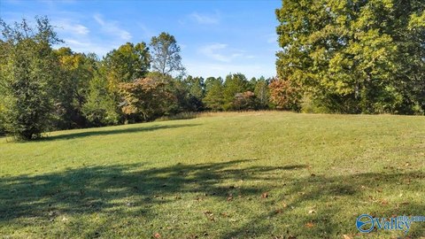 Land, Collinsville, AL