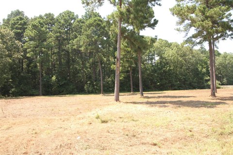Cleared Lots for Homes