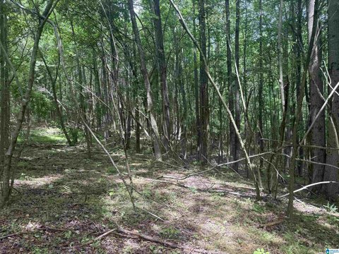 LAND - RANBURNE, AL