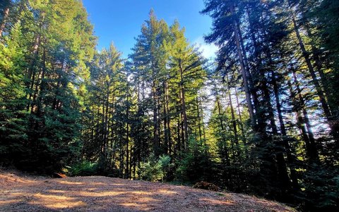 Residential Lots & Land, LOS GATOS, CA