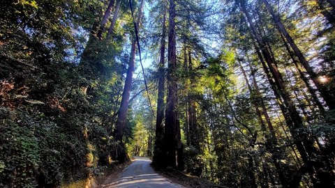 Land, LosGatos_1, CA
