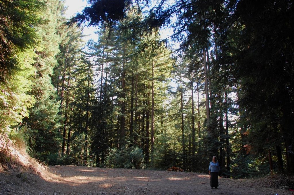 Picture 10