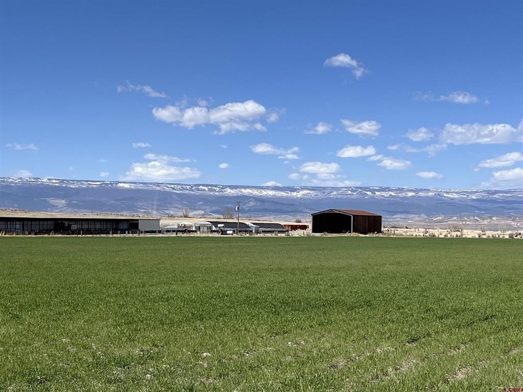 50 Acre Land Parcel, Delta