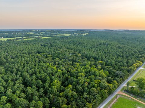 Wooded Land With Rolling Terrain