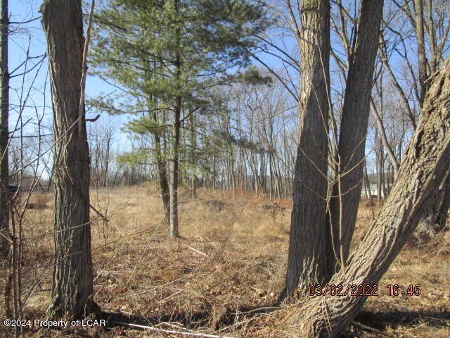 Picture 10