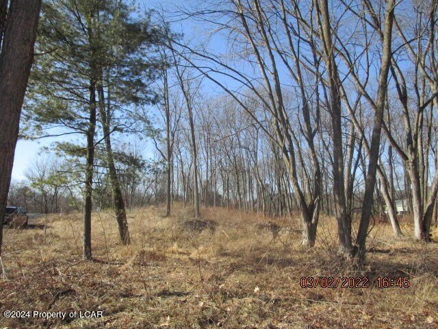 Picture 11