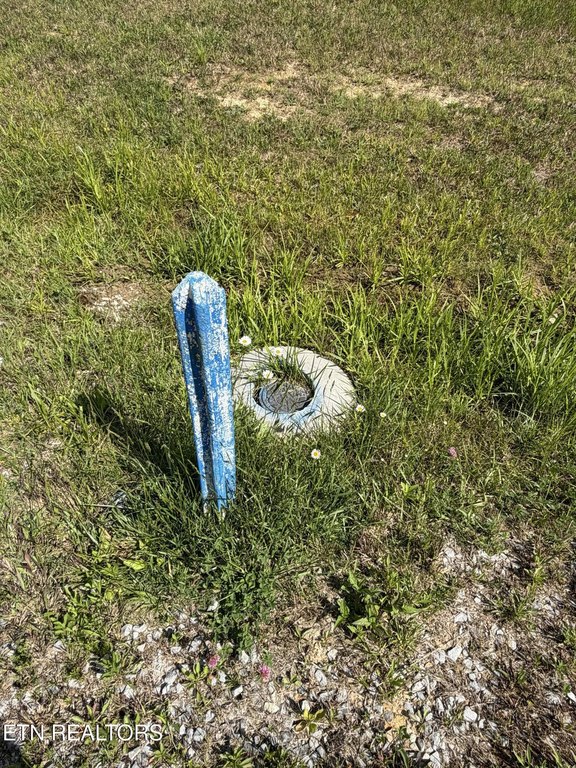 Picture 8