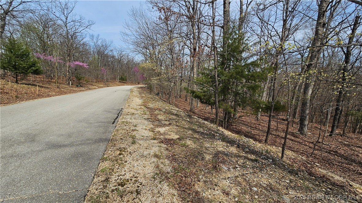 Wooded Lot in Porto Cima