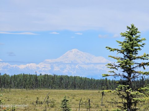 Hunting Land with Denali Views