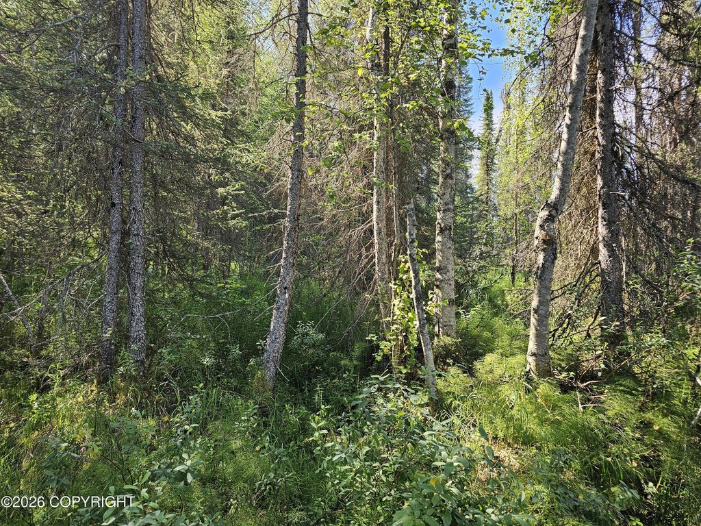 Picture 25