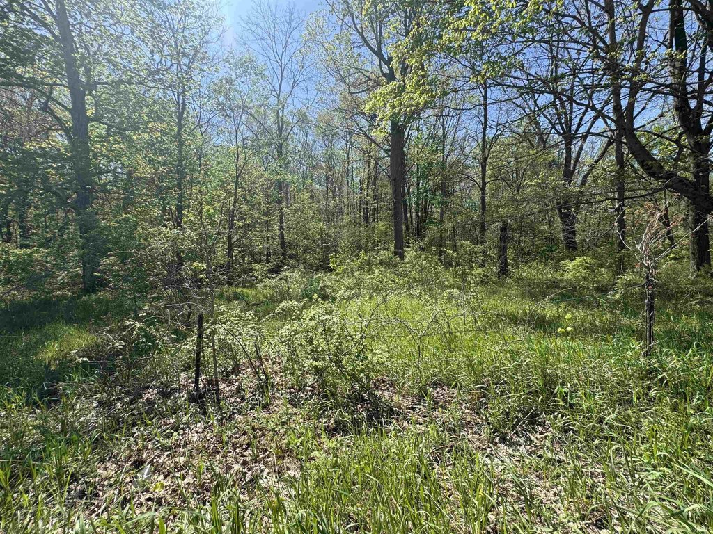 Picture 27