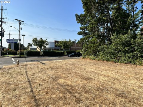 Prime Commercial Corner Lot
