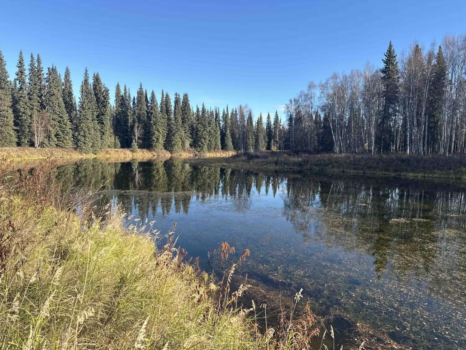 Alaskan Land with Water Frontage